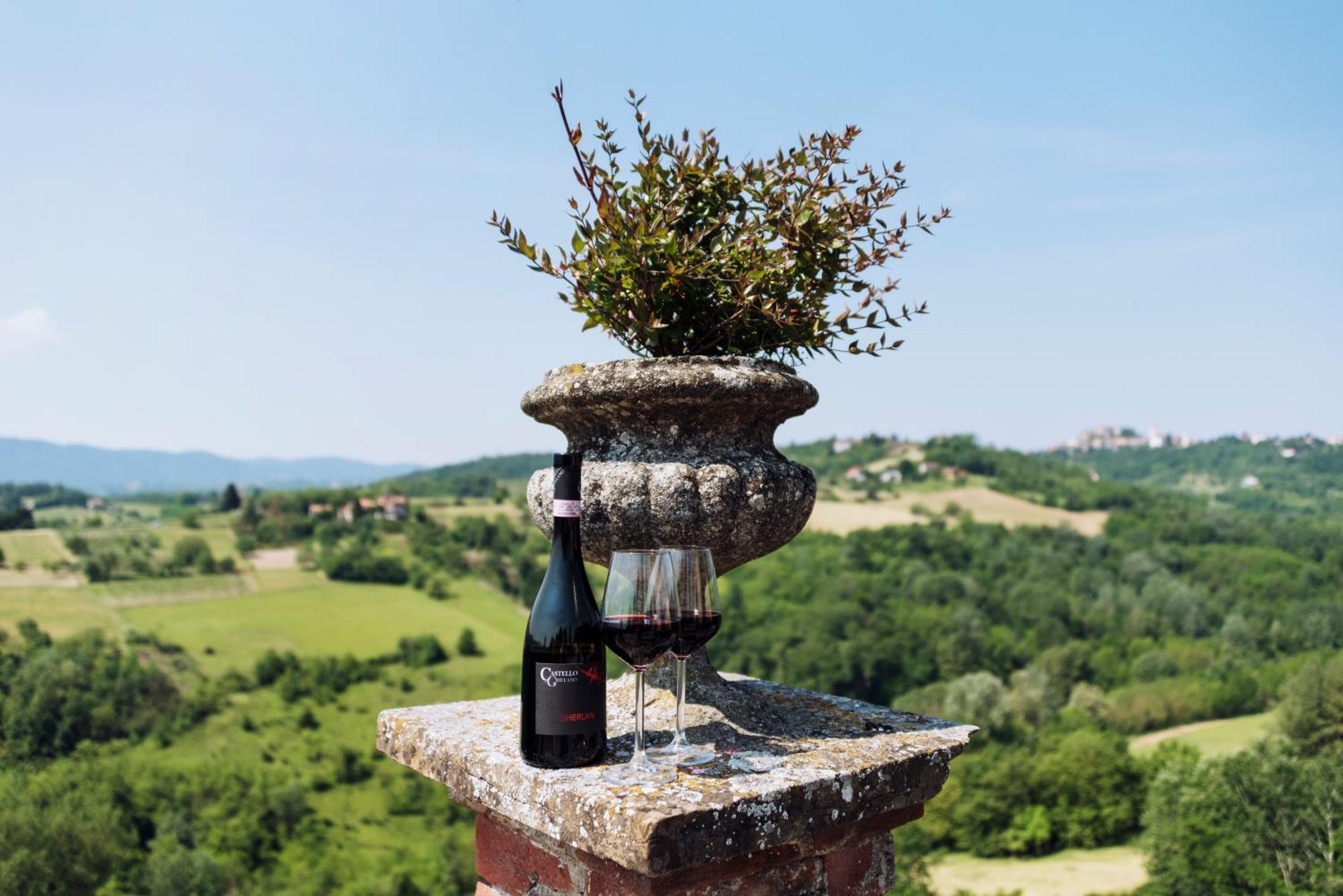 Castello Di Grillano Guest House Ovada Eksteriør billede